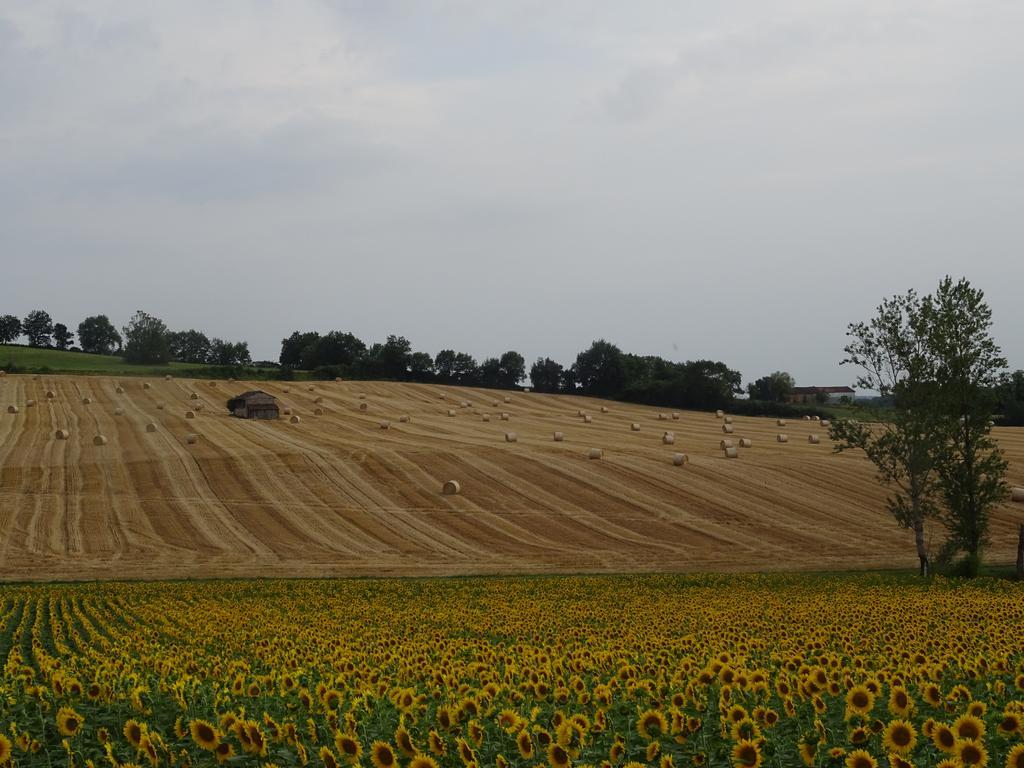 La Maison Des Cornieres Fourcès Buitenkant foto